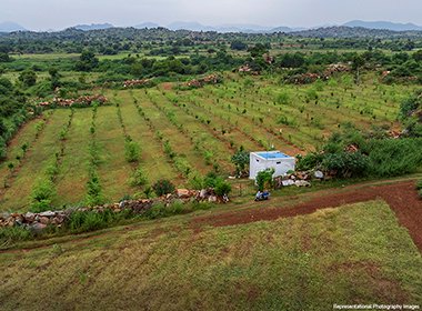 Agriculture Land